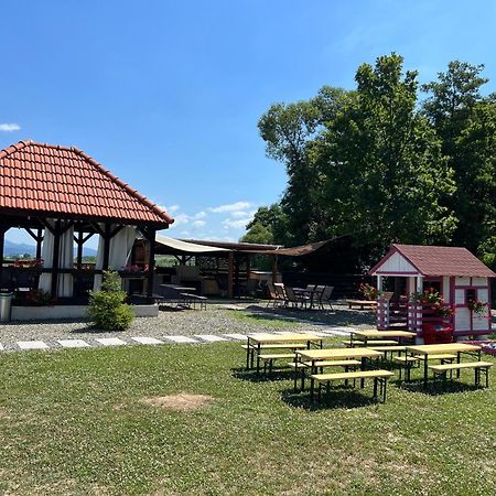 Casa Cu Flori Maramures Baia Mare Exterior photo