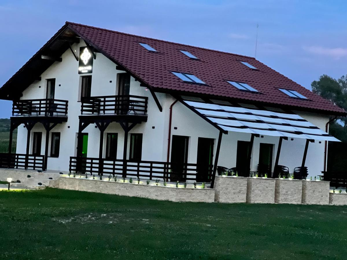 Casa Cu Flori Maramures Baia Mare Exterior photo