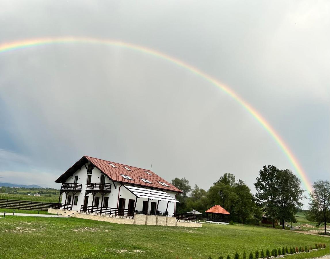 Casa Cu Flori Maramures Baia Mare Exterior photo