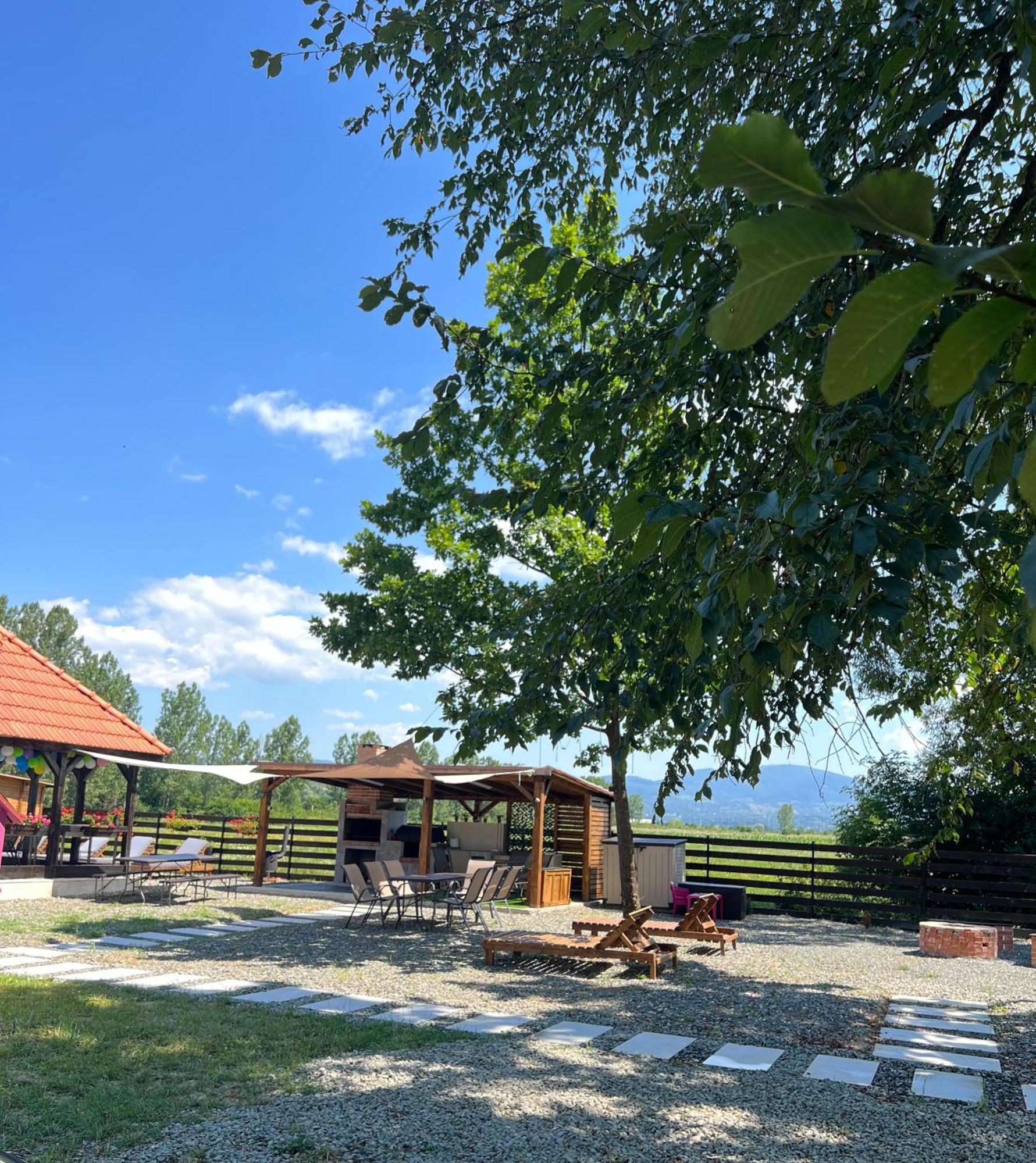 Casa Cu Flori Maramures Baia Mare Exterior photo